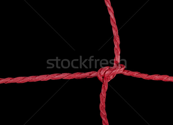 Rood knoop zwarte Maakt een reservekopie veiligheid band Stockfoto © prill