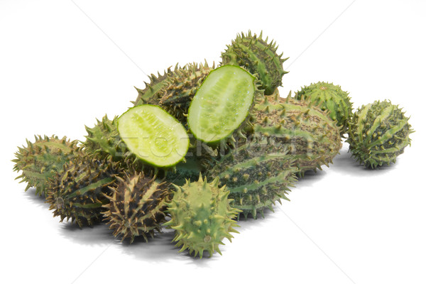 prickly cucumber fruits Stock photo © prill