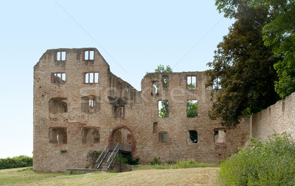 castle ruin in Oppenheim Stock photo © prill