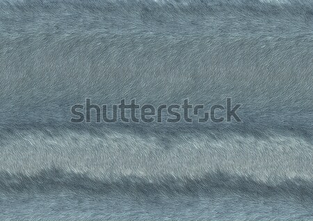 abstract fine lined pattern Stock photo © prill