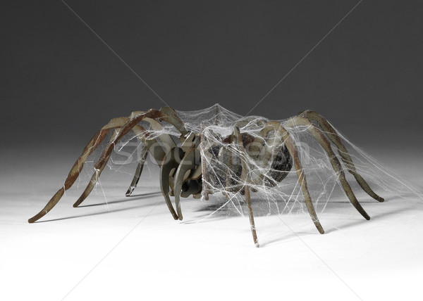Metálico aranha coberto artificial metal arte Foto stock © prill