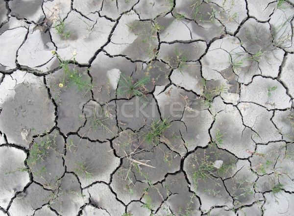 Stock photo: almost dry soil