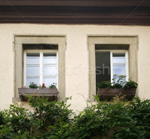 house facade detail with two old windows Stock photo © prill