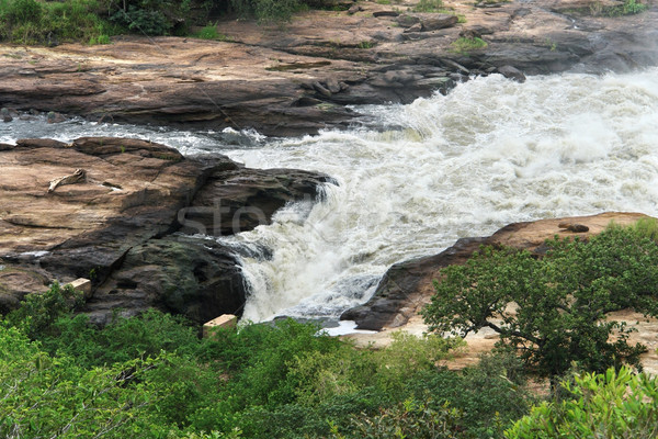 whitewater at Murchison Falls in Uganda Stock photo © prill