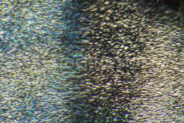 Mikroskopijny szczegół full frame streszczenie świetle nauki Zdjęcia stock © prill