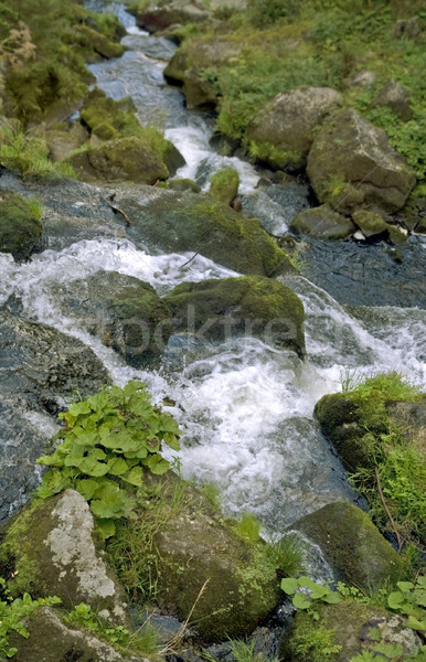 idyllic Triberg Waterfalls Stock photo © prill