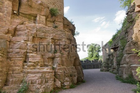 around Wertheim Castle at summer time Stock photo © prill