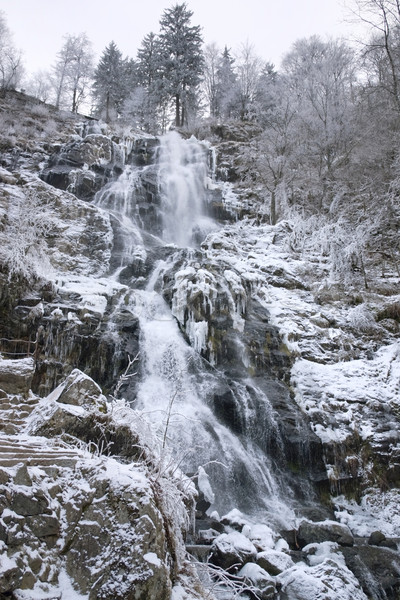 Wasserfall Winter Zeit Stadt schwarz Wald Stock foto © prill