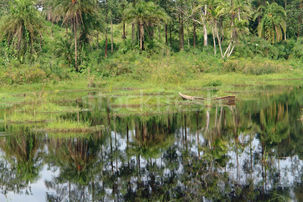 waterside vegetation in the Kabwoya Wildlife Reserve Stock photo © prill