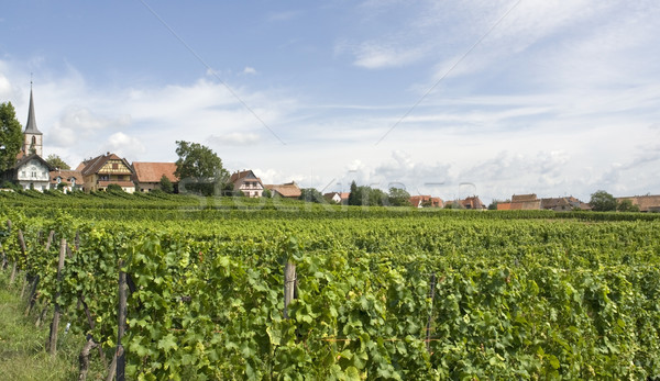 Mittelbergheim in Alsace Stock photo © prill