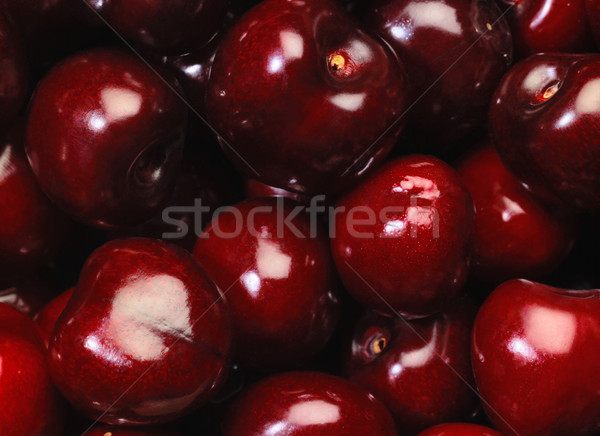 perfect cherries Stock photo © prill