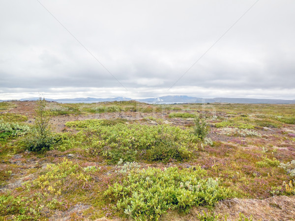 landscape in Iceland Stock photo © prill
