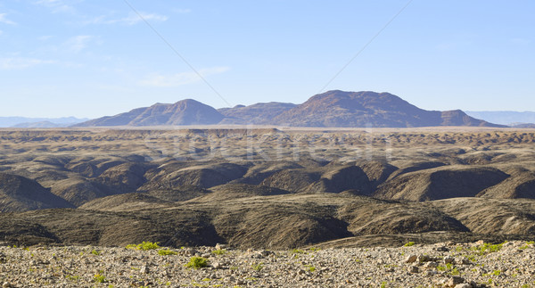 landscape in Namibia Stock photo © prill
