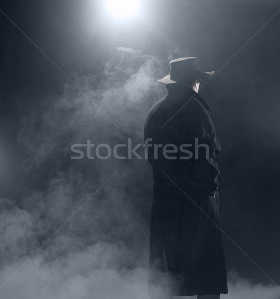 Nő visel lövészárok kabát áll köd Stock fotó © prill
