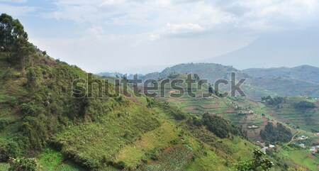 Virunga Mountains aerial view Stock photo © prill