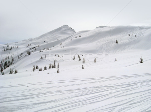 ski piste in Wagrain Stock photo © prill