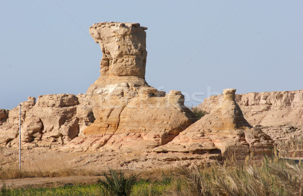 Skała wielbłąda krajobraz kamień zwierząt Zdjęcia stock © prill
