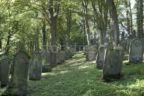 old gravestone rows Stock photo © prill