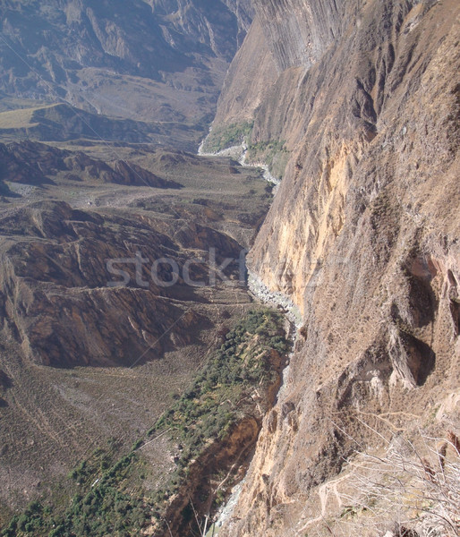 Colca Canyon Stock photo © prill