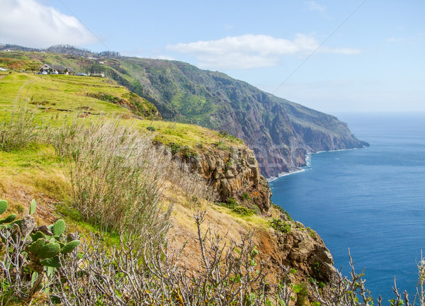 Island named Madeira Stock photo © prill