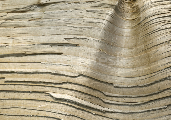 abstract wooden background Stock photo © prill