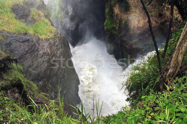 whitewater at the Murchison Falls Stock photo © prill