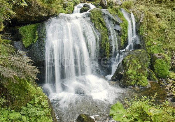 Idyllique cascades paysages noir forêt [[stock_photo]] © prill