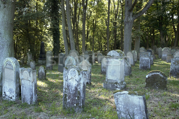part of a old jewish graveyard Stock photo © prill