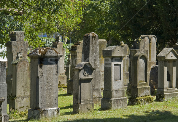 jewish graveyard in sunny ambiance Stock photo © prill