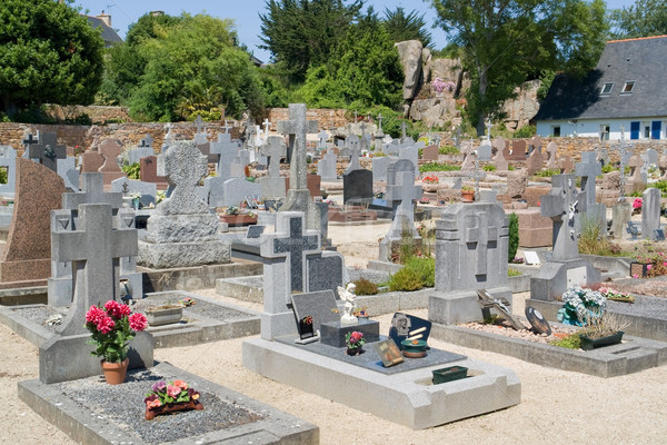 Friedhof sonnig beleuchtet Landschaft Stein Grab Stock foto © prill