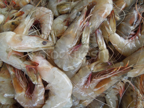 Stock photo: fresh prawns