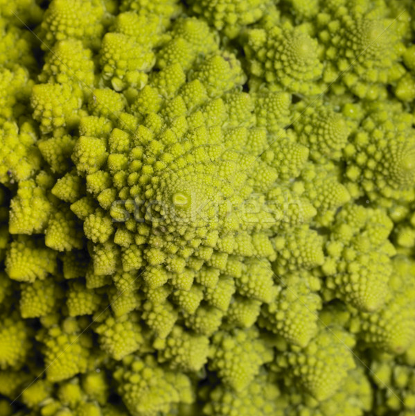 abstract romanesco cauliflower Stock photo © prill