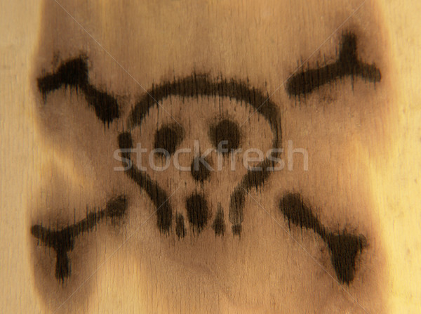 symbolic skull Stock photo © prill