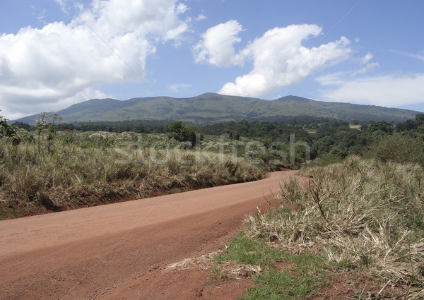 african road Stock photo © prill