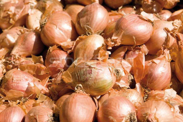 sunny onions background Stock photo © prill