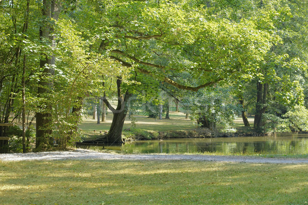 Idyllique parc paysages lac été temps [[stock_photo]] © prill