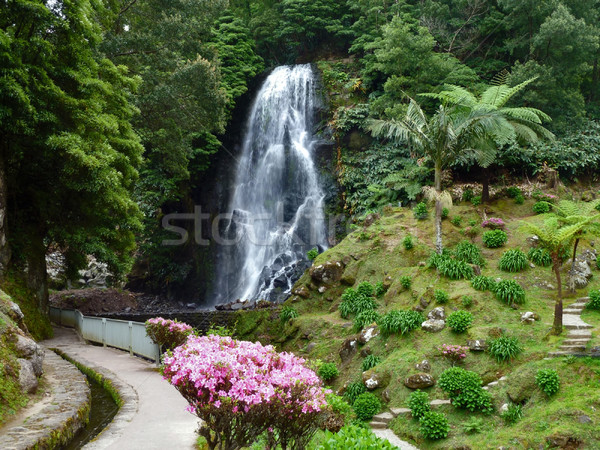 Stock photo: cascade at the Azores