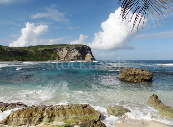 coastal scenery at Guadeloupe Stock photo © prill
