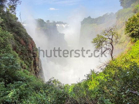 Zimbabwe africa natura rock cascata fiume Foto d'archivio © prill