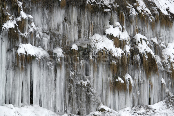 lots of icicles Stock photo © prill