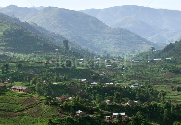 Virunga Mountains in Africa Stock photo © prill