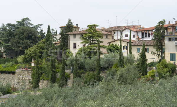 Toskana Landschaft Detail wenig Dorf Region Stock foto © prill