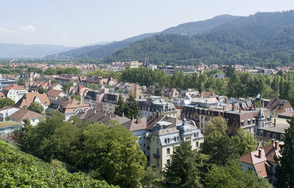 Freiburg im Breisgau at summer time Stock photo © prill
