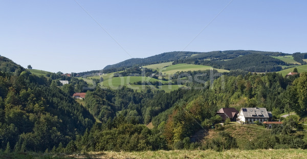 sunny panoramic Black Forest scenery Stock photo © prill