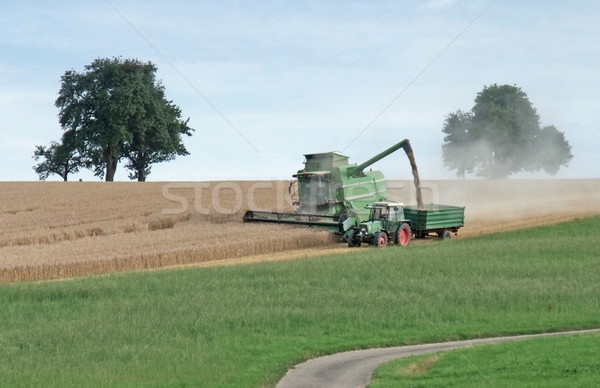 Récolte domaine agricole paysages Photo stock © prill