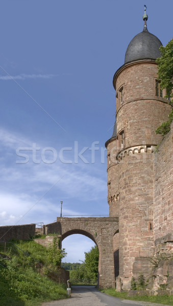 Wertheim Castle detail at summer time Stock photo © prill