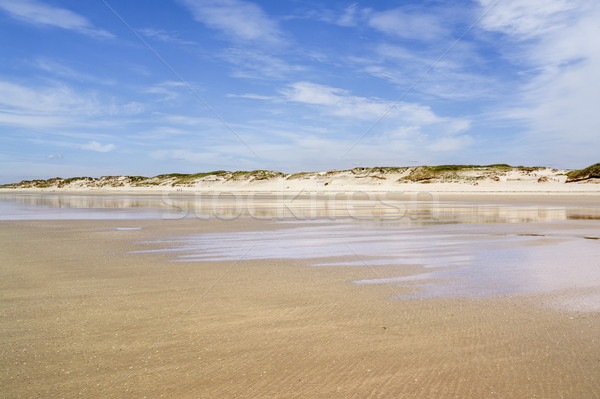 sunny beach in Brittany Stock photo © prill