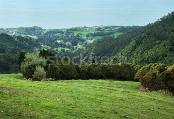panoramic coastal scenery at the Azores Stock photo © prill