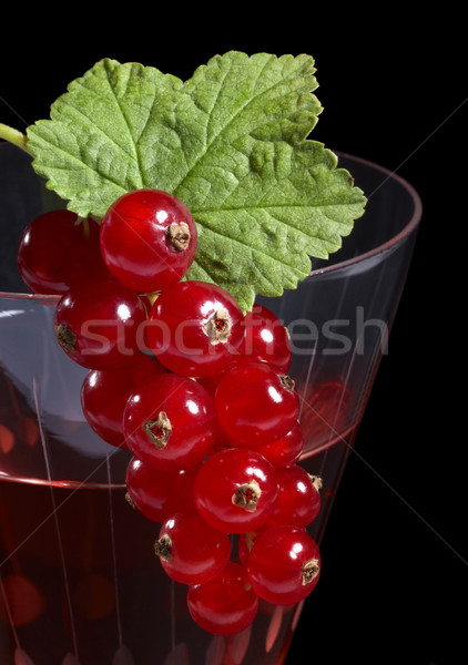 Redcurrant on glass Stock photo © prill