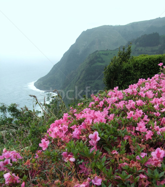 Azores coastal scenery Stock photo © prill
